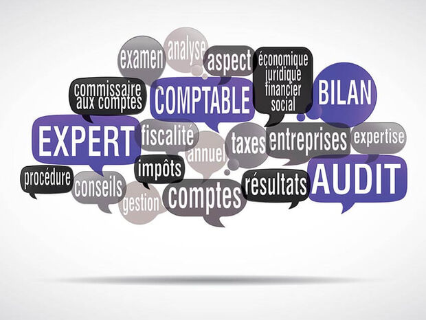 Audit et commissariat aux comptes